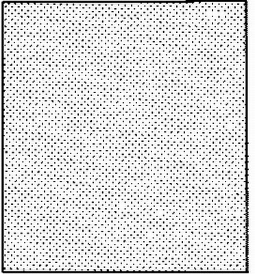 1000011684