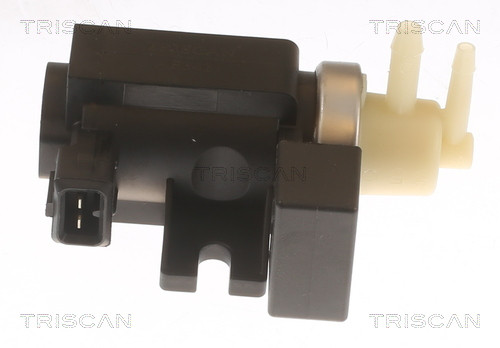 8813 24058 TRISCAN