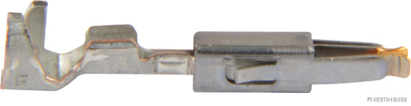 50251901