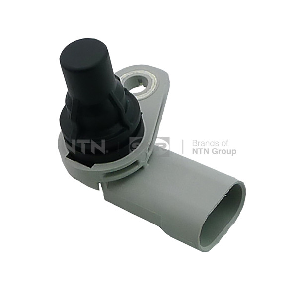 CMP186.01