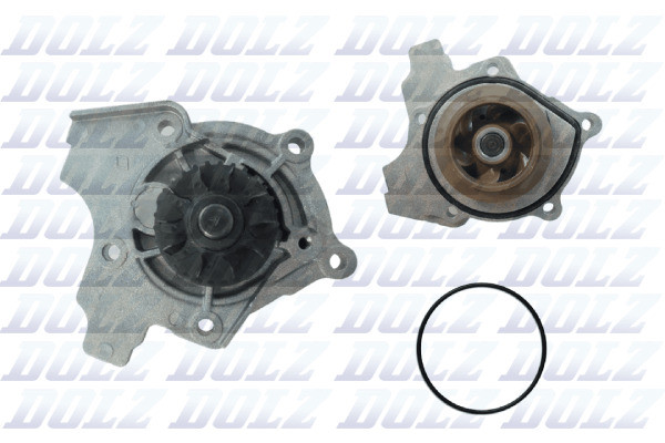 A243 DOLZ