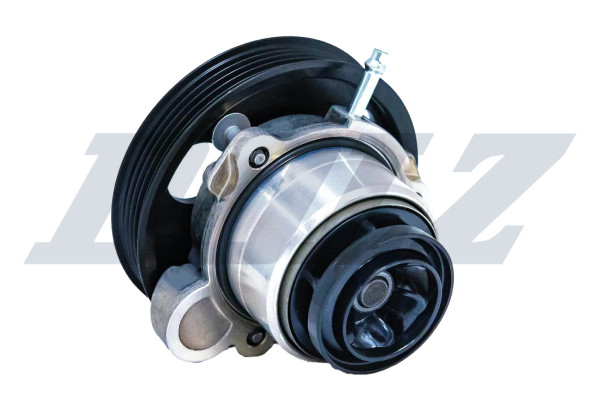 A279V
