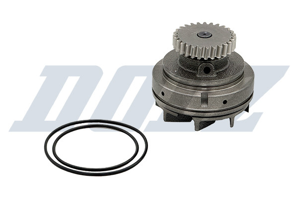 B182 DOLZ