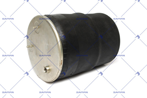 SP 556755-01
