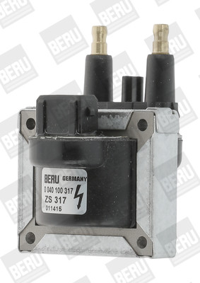 ZS317