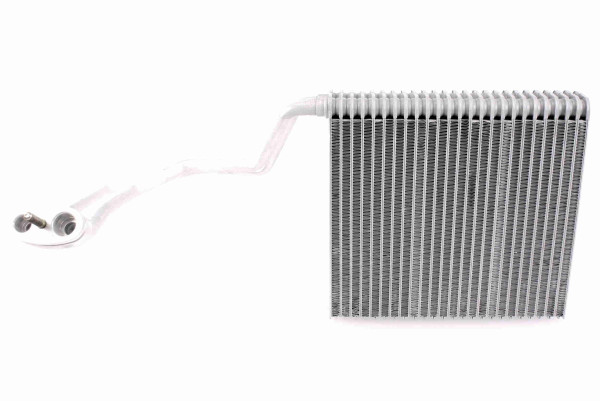 V10-65-0020