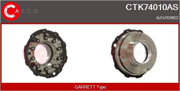 CTK74010AS