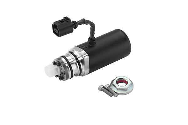 DS118589 BORGWARNER