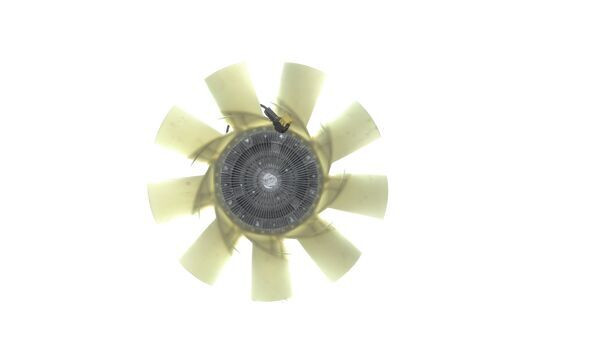 CFF 506 000P