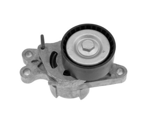 V85601COT