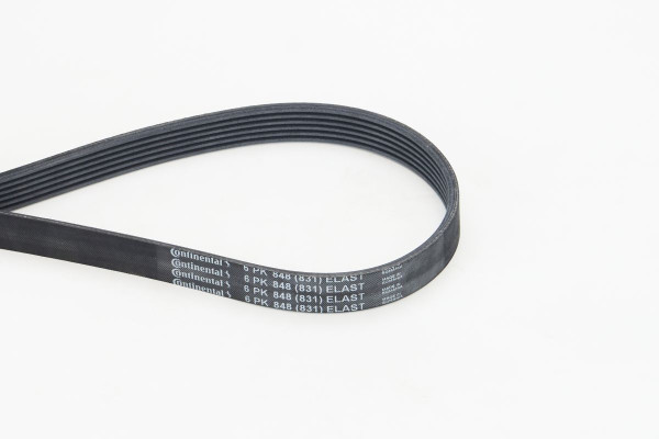 6PK848ELASTCOT