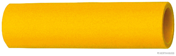 1000093166