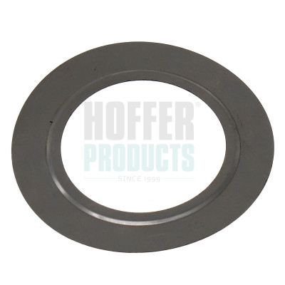 016196 HOFFER