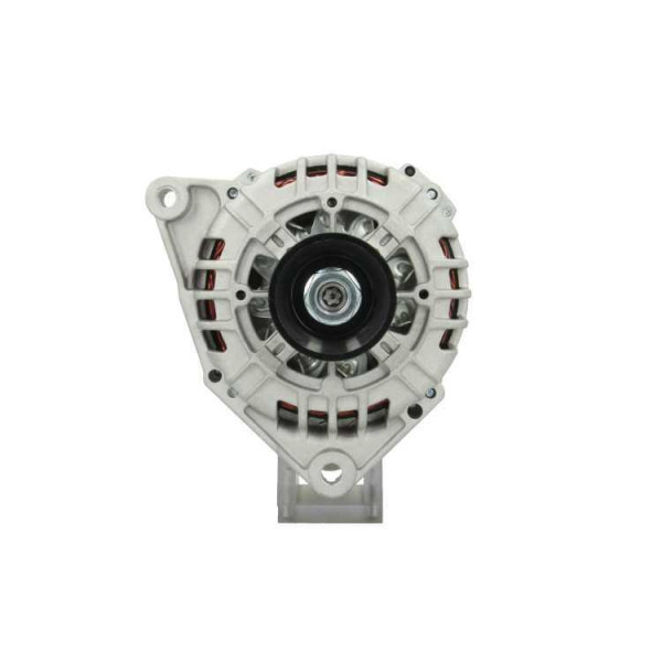205.511.120.004 BV PSH