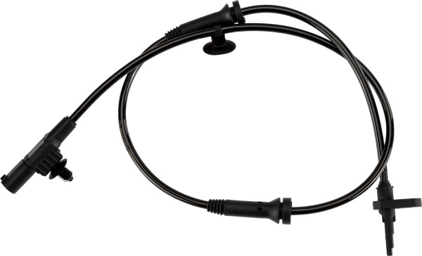 GBS2598
