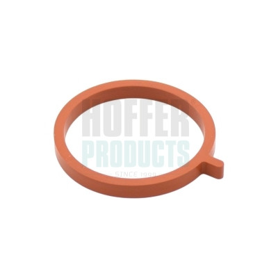 016478 HOFFER