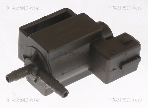 8813 23209 TRISCAN