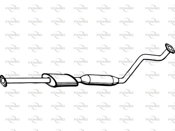 P2938 FENNO