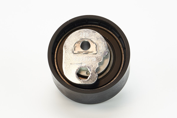 V55881COT