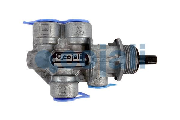 2215224 COJALI