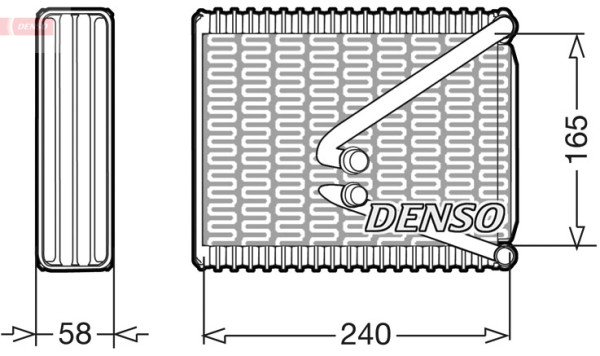 DEV09010