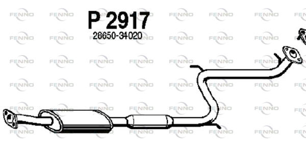 P2917 FENNO
