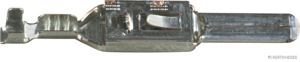 1000093576