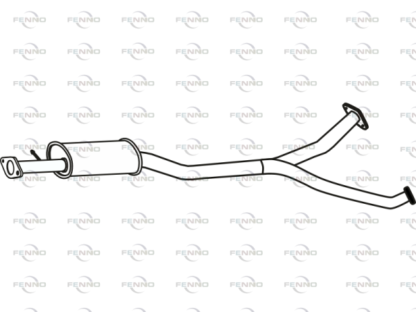 P29029 FENNO