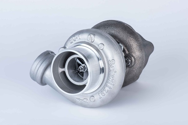 318279 BORGWARNER (SCH