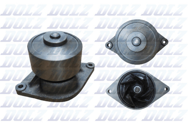 D334 DOLZ