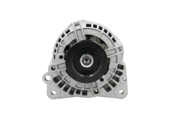 305.596.090.010 BV PSH