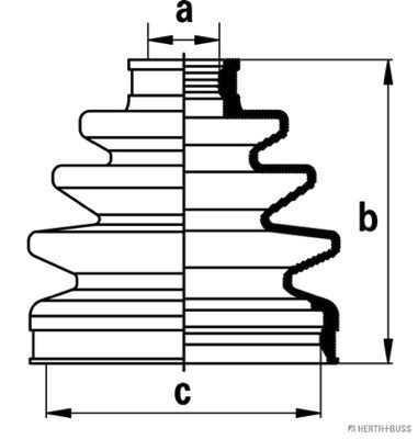 H&BJ2881029