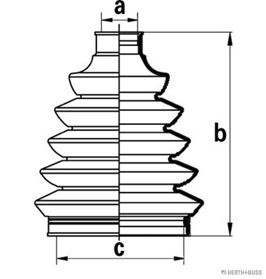 H&BJ2861027