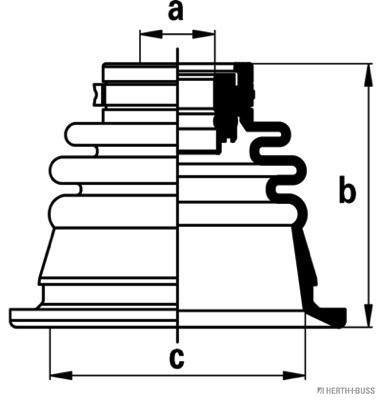 H&BJ2885013