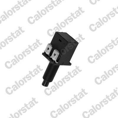 BS4501 CALORSTAT BY VE