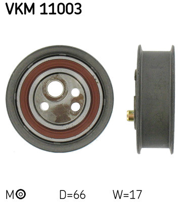 VKM 11003