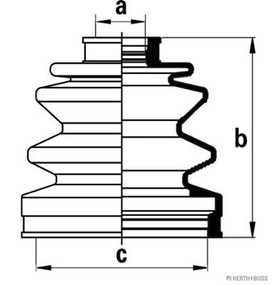 H&BJ2860505