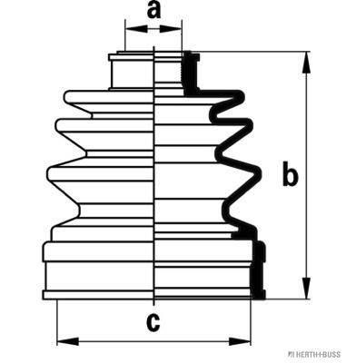 H&BJ2883001