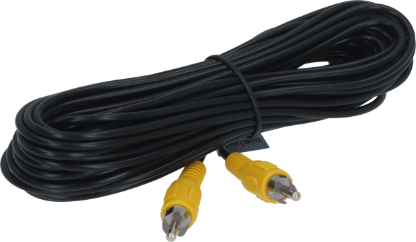 BRRCA10