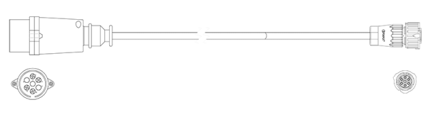 296080351
