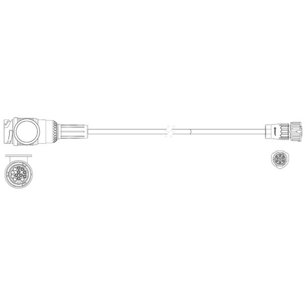 296090352