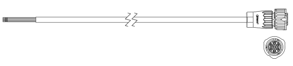 296080300
