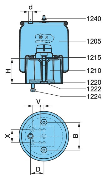 V 1 DK 21-5 Y 19