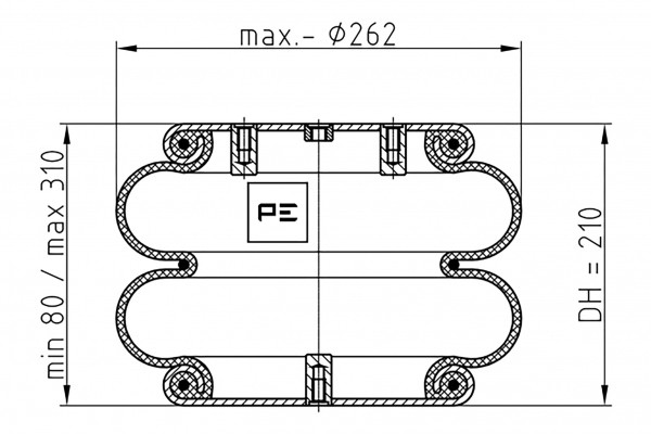 PE08420273