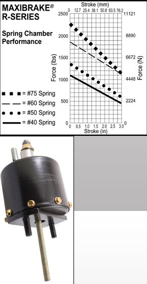 MBMA15619