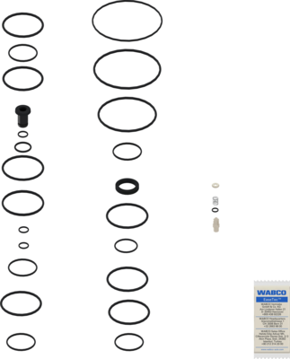 1000241166