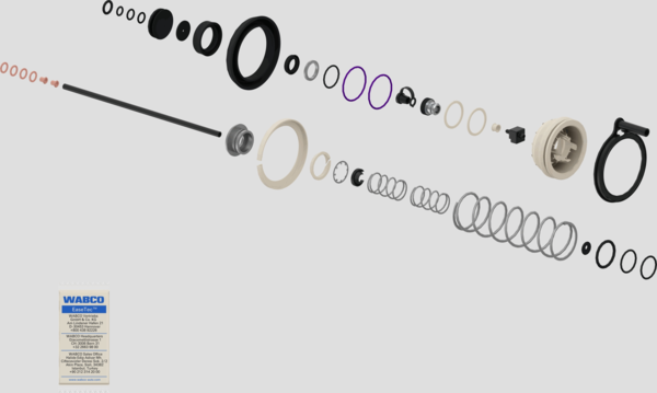 1000240455