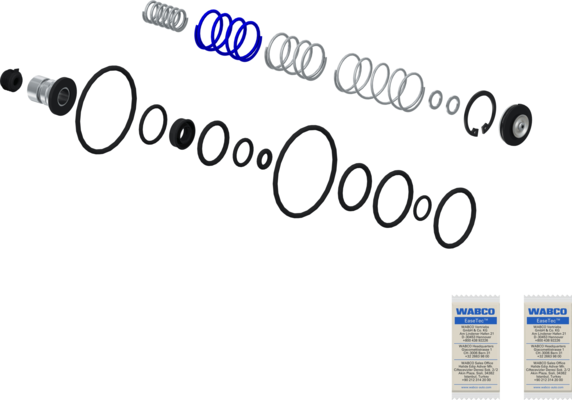 1000262555