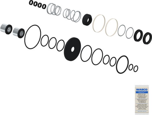 1000261905