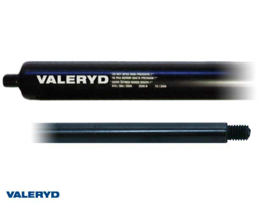 1000900596